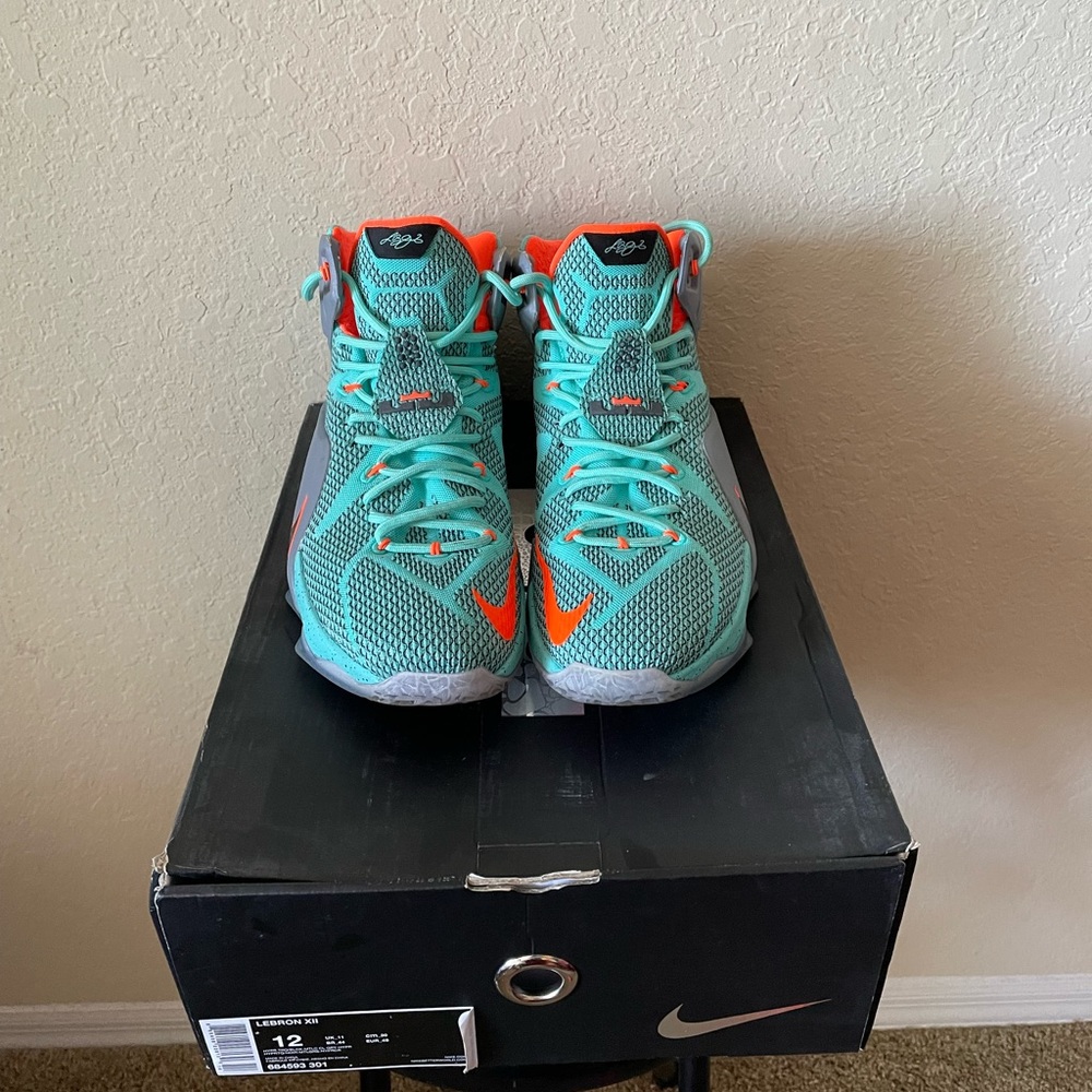 Nike Lebron 12 (Rare)